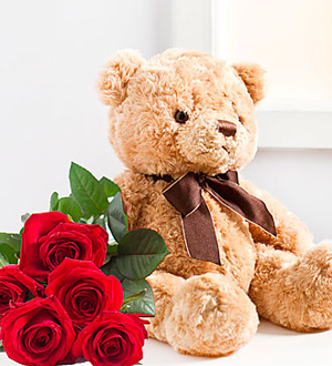 Seven Red Roses and Teddy Bear