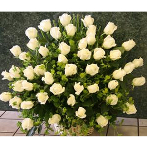 4 Dozen White Roses in the Basket