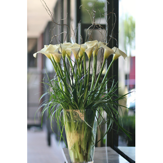 California calla lilies
