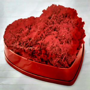 red cornations floral heart
