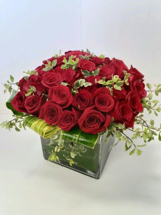magnificent cube of red roses