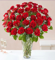 Loved red roses 48