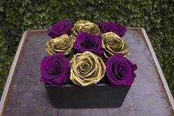 Purple Gold Mix Arrangement Preserved Roses