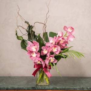 Valentine's Day Florists Choice  Orchid Special 