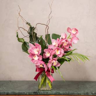 Valentine's Day Florists Choice  Orchid Special 