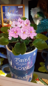 Beautiful flowering plant in mug