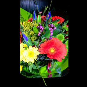 HF Carnival Bouquet in Clear Glass Vase