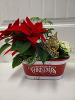 Have Yourself A Merry Little Christmas Planter Oval