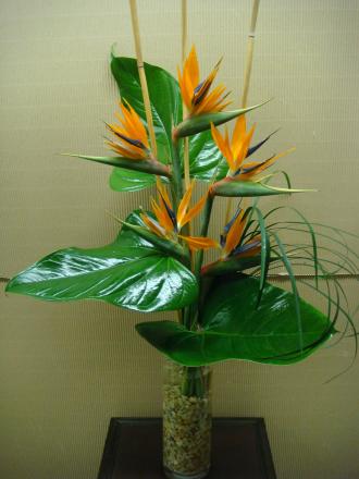 Tropical Vase Arrangement