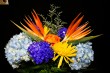 Birds of Paradise Bouquet