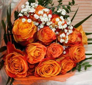 Orange Roses
