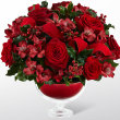 Red Rose Holiday Wishes 