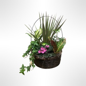 Beauty and Blooms Mixed Planter
