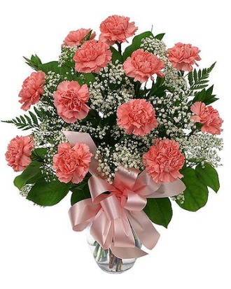 12 Pink Carnations