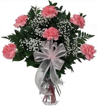 6 Carnation Bouquet