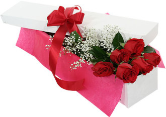 6 Roses Color Choice Boxed