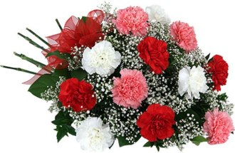 12 Carnation Handtied Bouquet