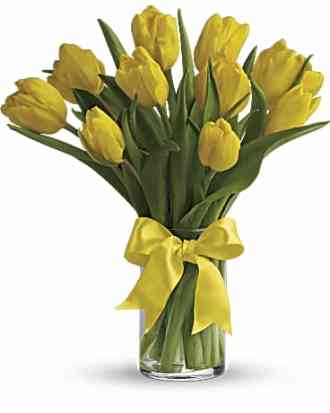 Precious Yellow Tulips 