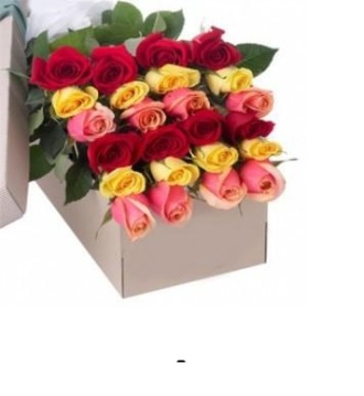 Two Dozen Mixed Color Roses  