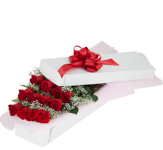 Long Stem Roses ( Pink, White or Red) With Baby\'s Breath Boxed
