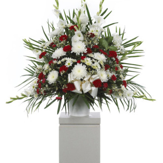 CARISMA FLORISTS® Red carnations