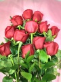 12 Roses Rouge