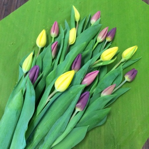 Bouquet de Tulipes Coupées