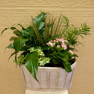 'Live Sweetly' Mixed Planter