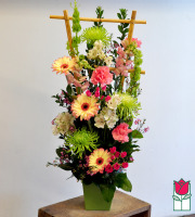 beretania florist peachy contemporary spring arrangement