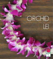 Single Dendro Orchid Lei