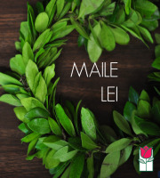<b> [SOLD OUT] </b> Premium Maile Lei