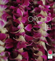 5 Orchid Lei