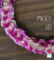 Pikky Orchid Lei