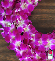 Double Dendro Orchid Lei Purple