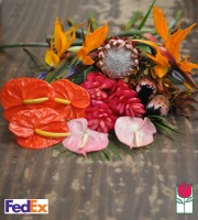 The Beauty of Hawaii Bouquet - Cut Flowers - [ship to mainland]