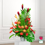 beretania florist atherton tropical arrangement