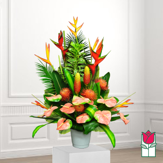 beretania florist kewalo tropical arrangement