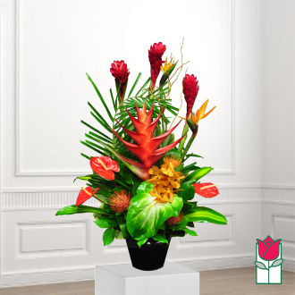 beretania florist thurston tropical arrangement