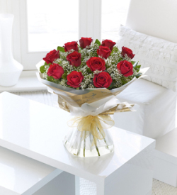 12 Red Long Stem Roses Hand-Tied