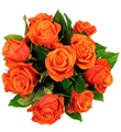 Affection - 12 Orange Roses