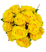 Affection - 12 Yellow Roses