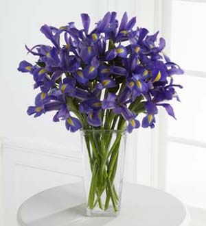 The FTD® Iris Riches™ Bouquet