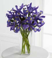The FTD® Iris Riches™ Bouquet