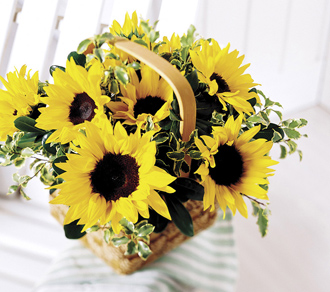 The FTD® Sunflower Basket