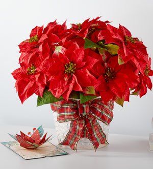 Happiest Holidays Poinsettia and Lovepop® Card
