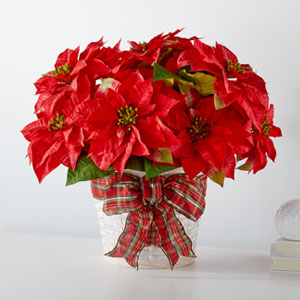 The FTD® Happiest Holidays™ Poinsettia