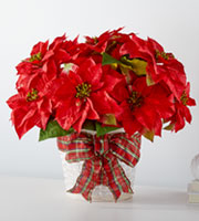 The FTD® Happiest Holidays™ Poinsettia