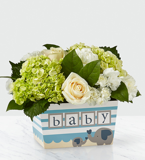 The FTD® Darling Baby Boy™ Bouquet