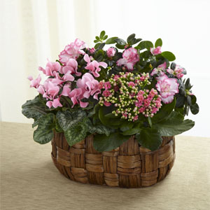 The FTD® Pink Assortment