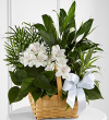 The FTD® Peace & Serenity™ Dishgarden